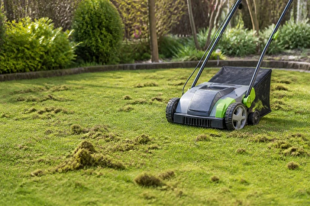 Scarifier pelouse : quand, pourquoi et comment réussir
